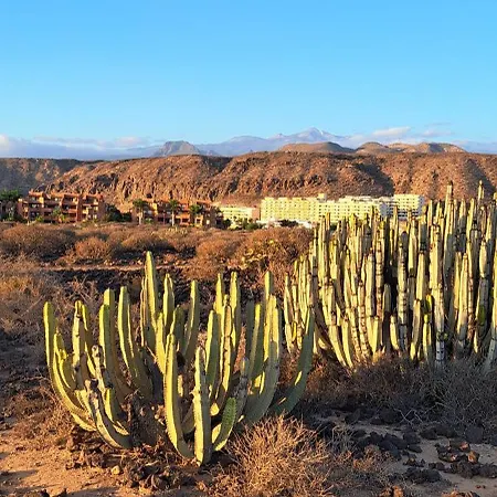 Casa Martin Lägenhet *