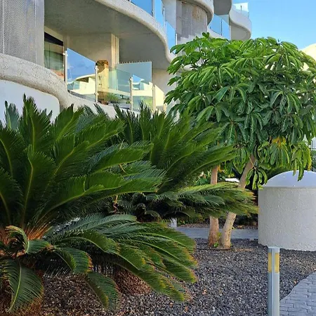 Casa Martin Palm-mar