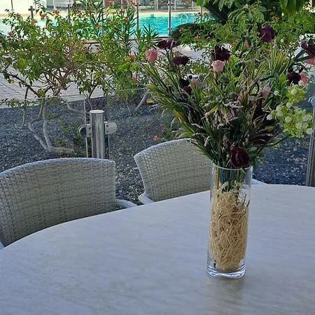 Lägenhet Casa Martin