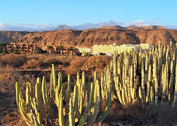 Casa Martin Apartament *