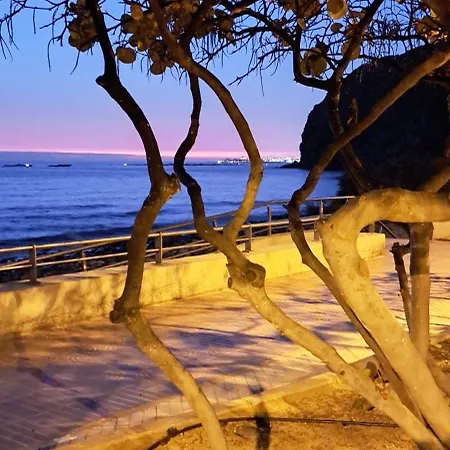 Casa Martin 公寓 滨海帕尔姆